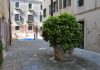 Pozzo in Corte Trapolin, nel Sestiere di Cannaregio