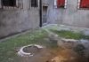 Pozzo in Corte dei Pontei, nel Sestiere di Santa Croce