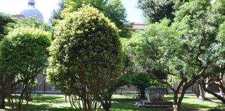 Pozzo nel primo chiostro dell’Ospedale Civile già Convento dei Santi Giovanni e Paolo, nel Sestiere di Castello