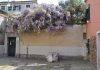 Pozzo in Corte Bianco, nel Sestiere di Castello