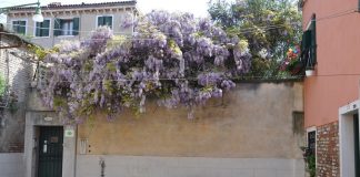 Pozzo in Corte Bianco, nel Sestiere di Castello