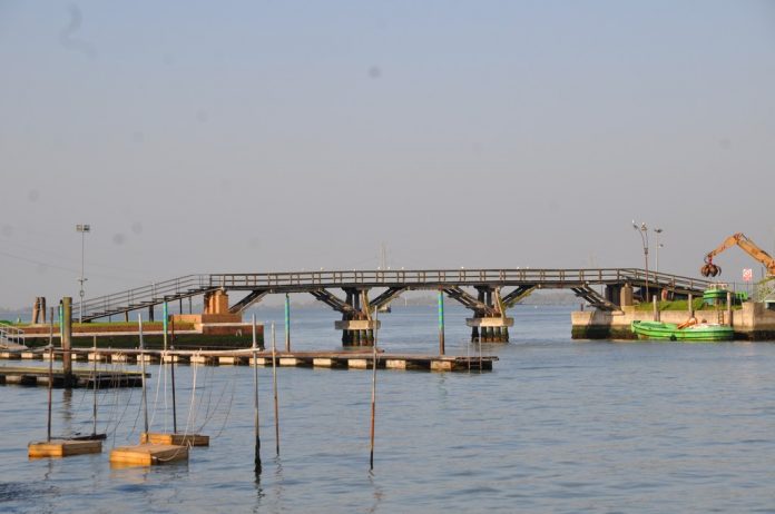 DSC_0721