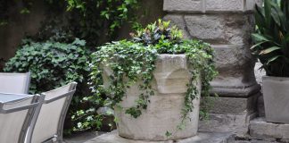 Pozzo nella corte del Palazzo Cappello Malipiero Barnabò, nel Sestiere di San Marco