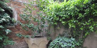 Pozzo nella corte del Palazzo Cappello Malipiero Barnabò, nel Sestiere di San Marco