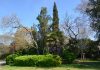Giardini Pubblici ex Napoleonici o Giardini della Biennale
