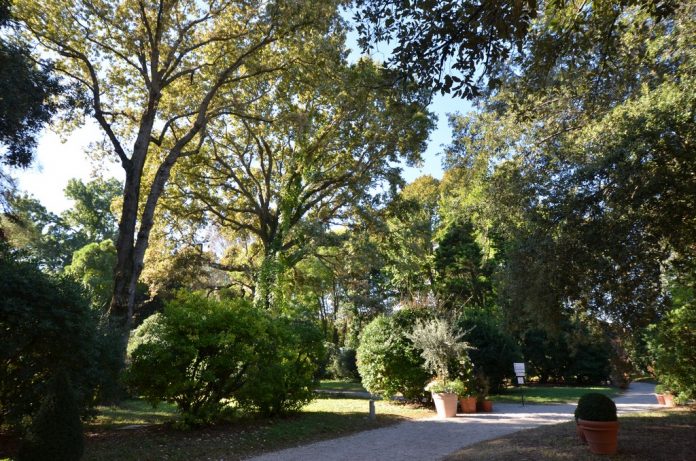 DSC_4586