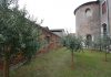 L’uliveto della Chiesa della Madonna dell’Orto