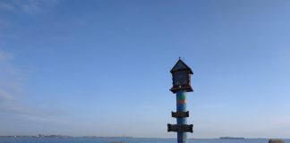 Capitello su “bricoła” nel Canale di Tresso