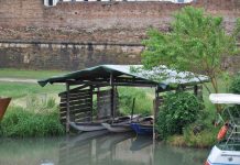 Amissi del Piovego. Associazione ambientale e culturale di voga alla veneta. Padova
