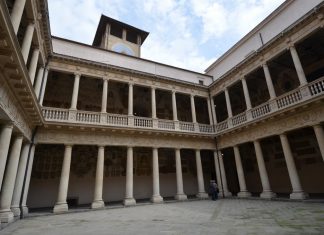 Lo Studio di Padova e i suoi studenti