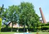 Il giardino Fortuny, a Sant’Eufemia alla Giudecca