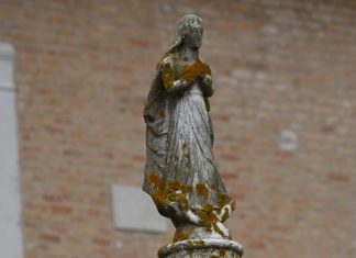 La Madonna Immacolata stilita in Piazza Torcello