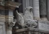 I Grifoni guardiani, sulla facciata della Basilica di San Marco verso la Piazzetta