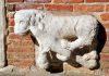 I Leoni guardiani, in Fondamenta del Tragheto a San Tomà