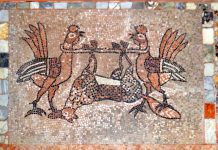 Il mosaico con due galli e una volpe sul pavimento della Chiesa di Santa Maria e Donato