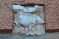 DSC 0790m