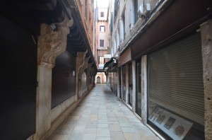 DSC 5223