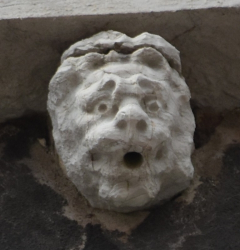 DSC 0039m