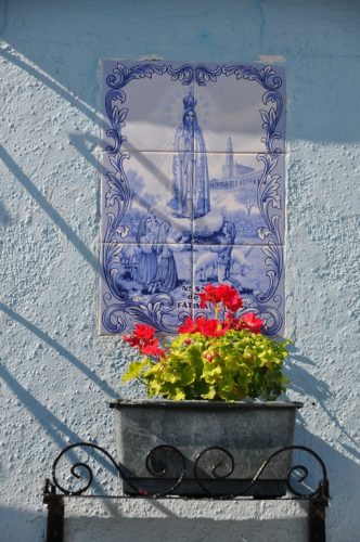 DSC 0514