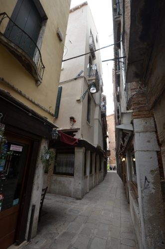 DSC 8655