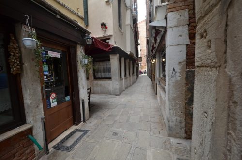 DSC 8656
