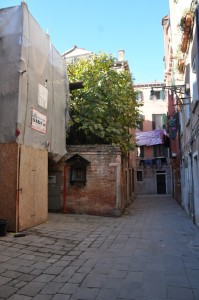 DSC 0946