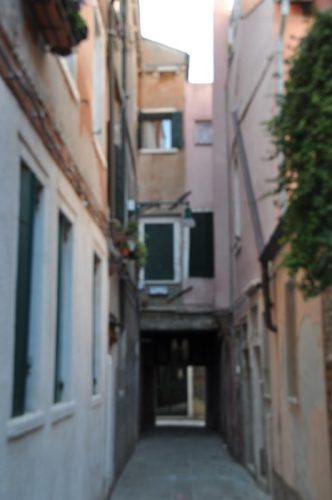 DSC 0203