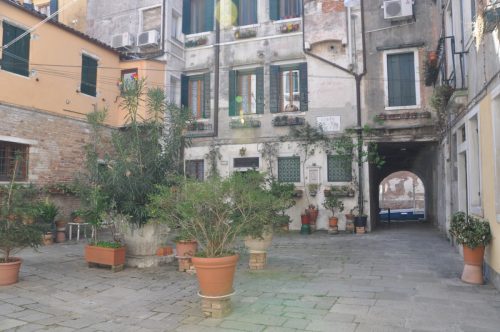 DSC 0081