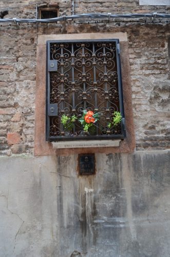 DSC 4419