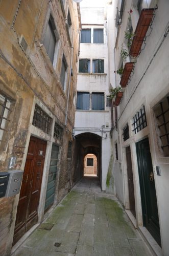 DSC 9515