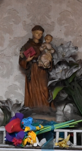 DSC 0071m