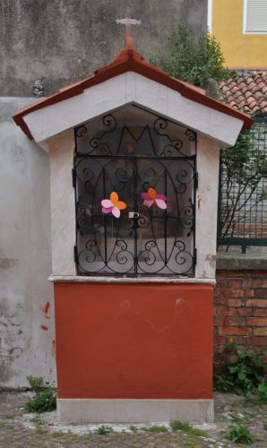 DSC 0108m