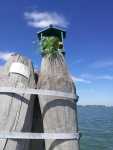 IMG 20180615 162949