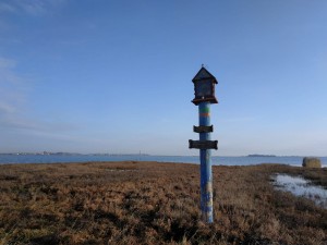 IMG-20181201-WA0003