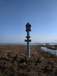 IMG-20181201-WA0006