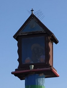 IMG-20181201-WA0007m
