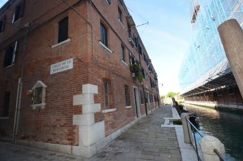 DSC 2539