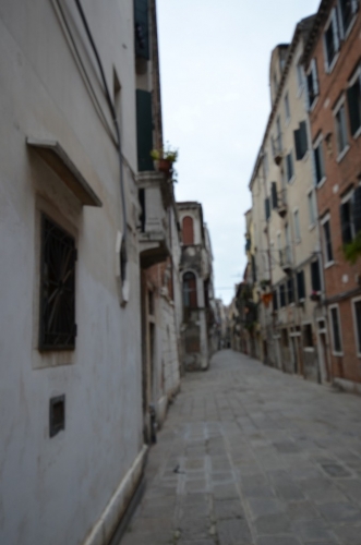 DSC 0401