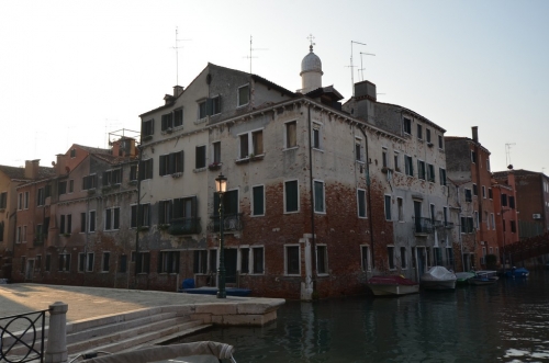 DSC 8019