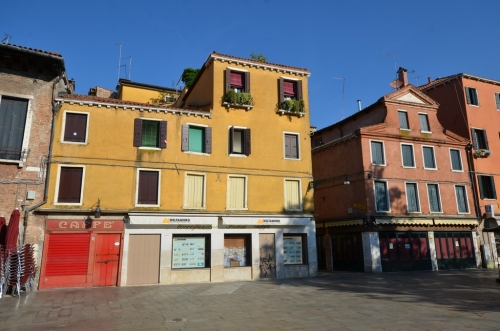 DSC 1529