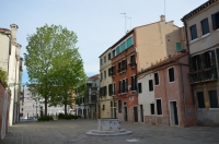 DSC 7421