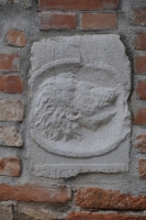 DSC 0664