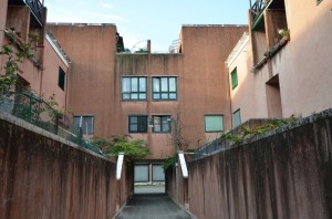 DSC 4896