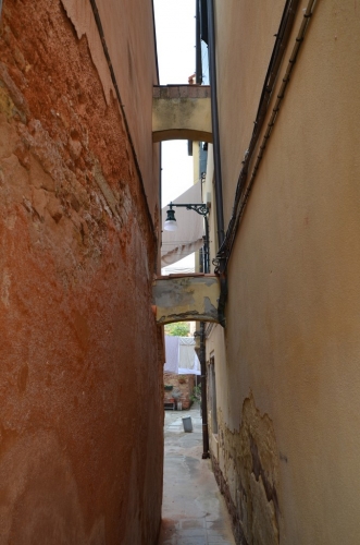DSC 8667