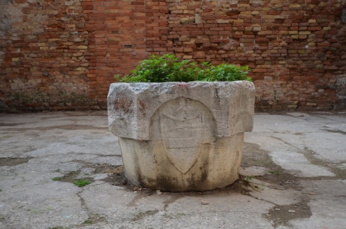 DSC 8703