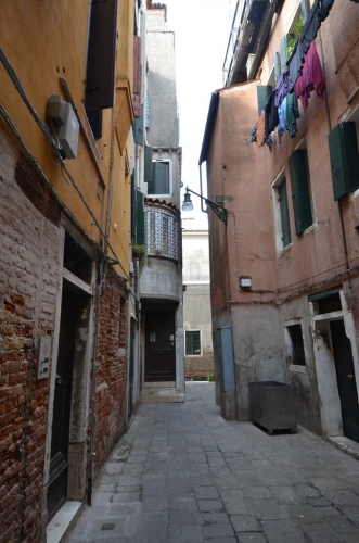 DSC 8707