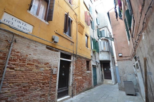 DSC 8713