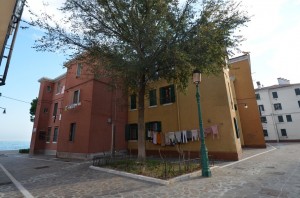 DSC 4914