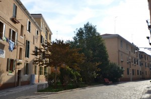 DSC 4916