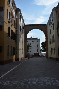 DSC 4917
